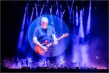 Gilmour 160628 (c) Andreas Mueller 313